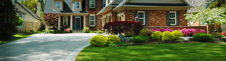 Landscaping in Georgetown - Main Image Contact